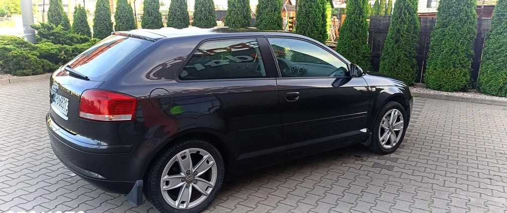 Audi A3 cena 15900 przebieg: 183000, rok produkcji 2004 z Radom małe 106